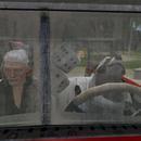 Thumb 61f6a1c1b41dd624da99065f