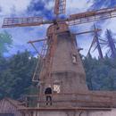 Thumb 622a474d98ed9550f3895231