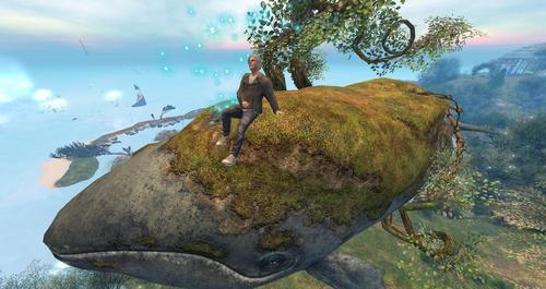 Web 5f43ec57289dd25dbd37d98c