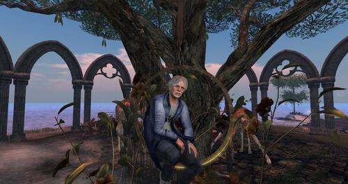 Web 5f760e08289dd275de8fa885