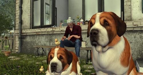 Web 624c91019044f45860d1fa41