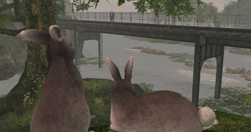 Web 6418ab6e64a3a45479e65a9c