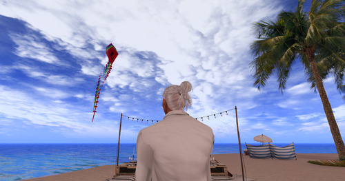 Web 6698ed98f73d102117875b01