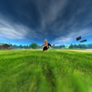 Thumb 55318e1e128cc947f2000001