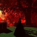 Thumb 4fc05fda82c59762db000001