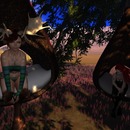 Thumb 4fdb69d955abc6319d000001