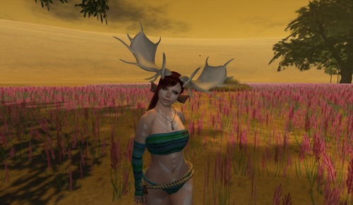 Web 4fdb68f4c1e5971aea000001