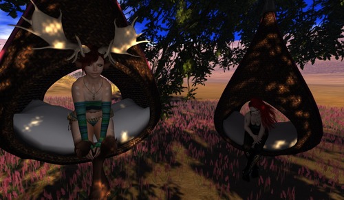 Web 4fdb69d955abc6319d000001