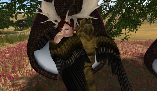 Web 4fdb6b9eff971b37f1000001