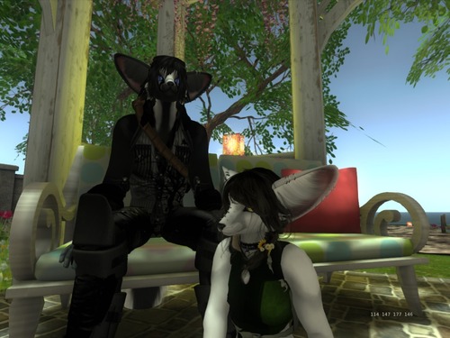 Web 500cd44f6264c211f4000001