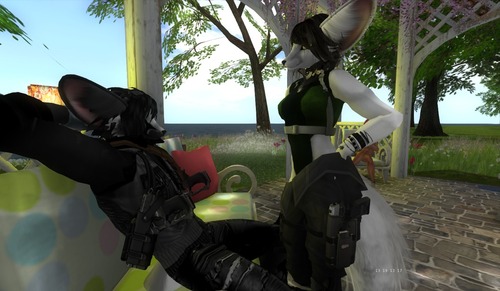 Web 500cd66f403b1e20cc000001