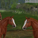 Thumb 649f67dbaf1f0867b7daa2bf