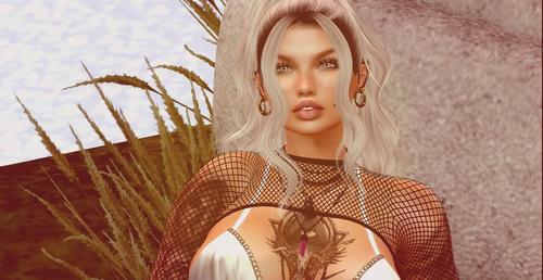 Web 629ee83383523874e3b759c1