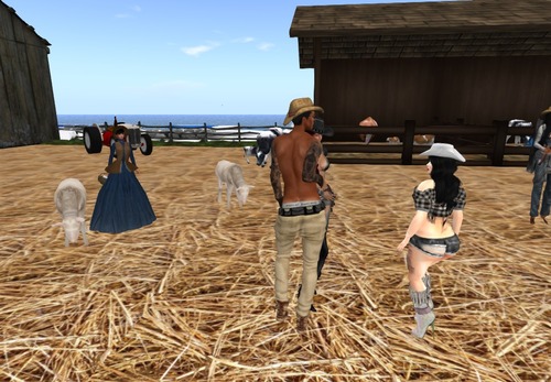 Web 53dd64f48da5725159000001