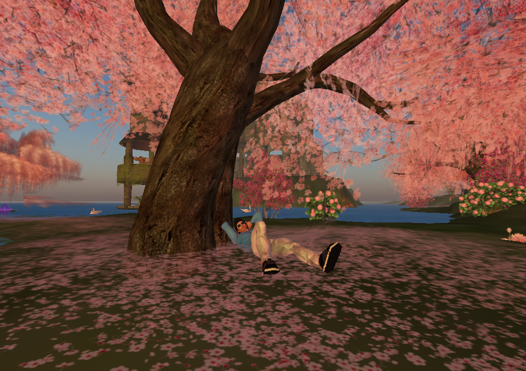 Original 50a4d7031489a0028b000001