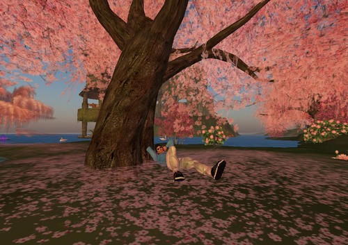 Web 50a4d7031489a0028b000001