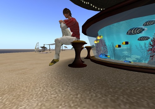 Web 513c39b8e324c51925000001