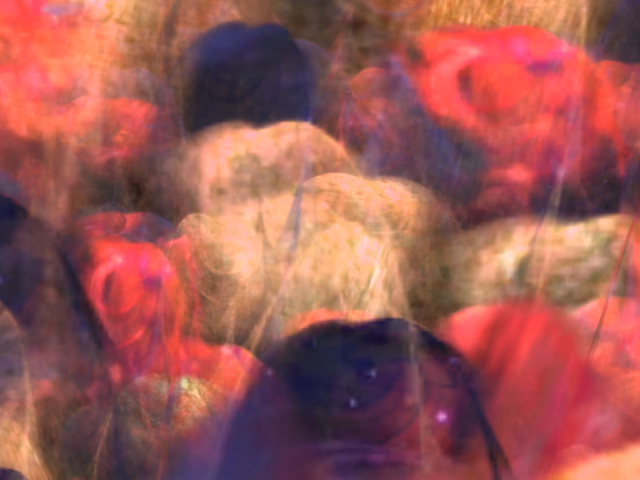 Original 5aaa5741289dd24b35000001