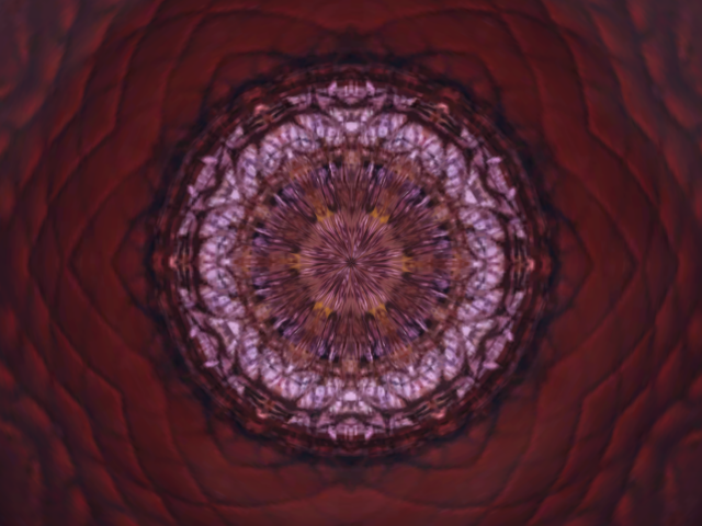 Original 5ac52d34d774f8083a000001