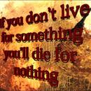 Thumb 5a54426c73ed17186e000001