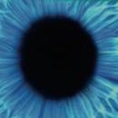 Thumb 5a8c0ce7289dd26681000001