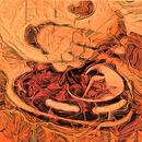 Thumb 5a8d5935d774f82a04000001