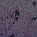 Thumb 5a8d6001d9859c18c6000001