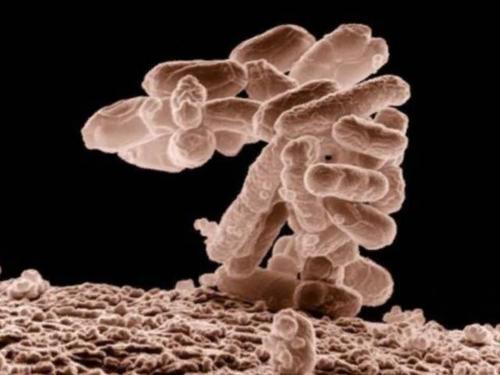 Web 5a4b6451d9859c67ec000001