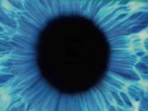 Web 5a8c0ce7289dd26681000001