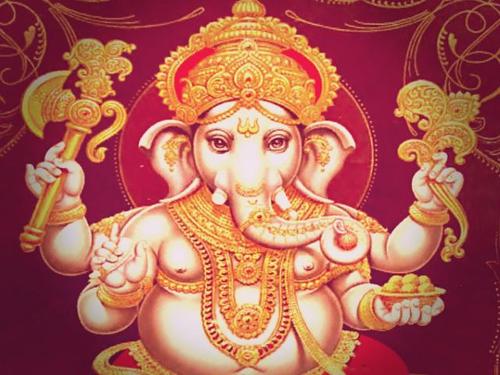 Web 5a8c1c96d774f80301000001