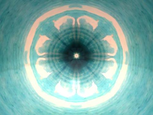 Web 5ac52c8d289dd26e10000001