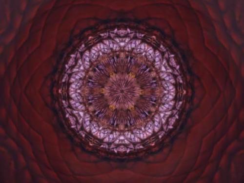 Web 5ac52d34d774f8083a000001