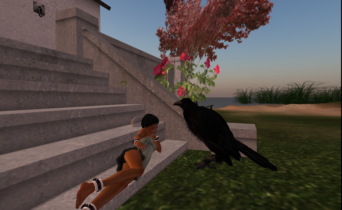 Original 5108ffded6f3551de4000001