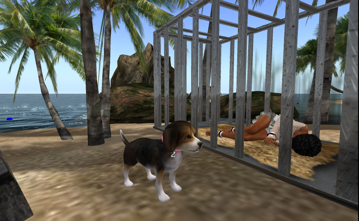 Original 510f9fdc8be4c85651000001