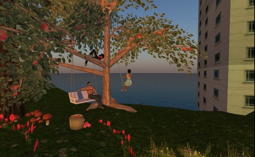 Web 50ed44ba1263983485000001