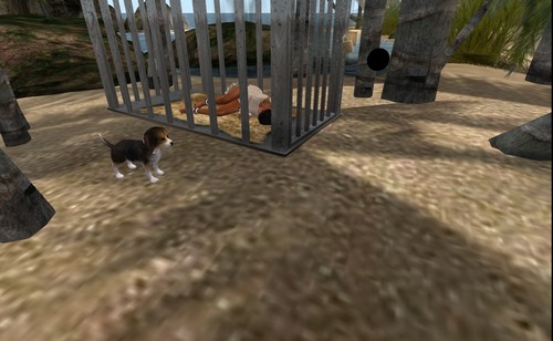 Web 510f9fbea6e257408a000001