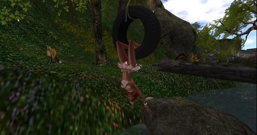 Web 54d8fea0a73e21224f000001