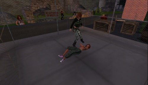 Web 54f20cf88da5722630000001