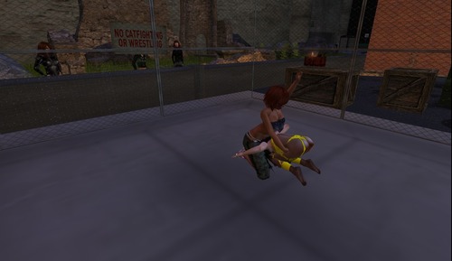 Web 54f20df9f8a1ec2304000001