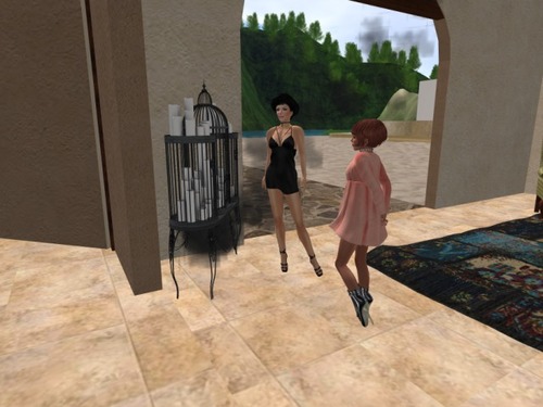 Web 579a6a3cb01540626c000001