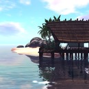 Thumb 527f00d33e29936662000001