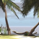 Thumb 53ed82baa73e211a51000001