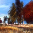 Thumb 546fa64e128cc96f1d000001