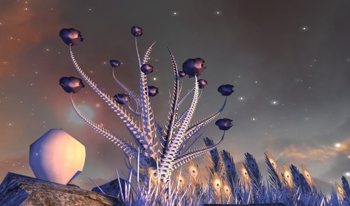 Web 55ed15d8f8a1ec5031000001