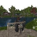 Thumb 5e5fa37a73ed176df3ed05d3