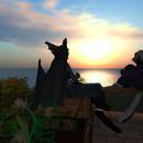 Thumb 5e9af329d774f802981110cd