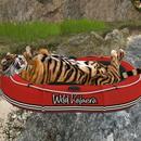 Thumb 60d681253ffd691c20792627