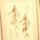 Thumb 60d79da71f3f0a0824d70e93