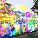 Thumb 60d8faa93b84a22b20468ff8