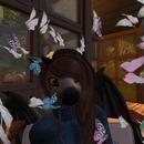 Thumb 61a29706c1de78246144ac29